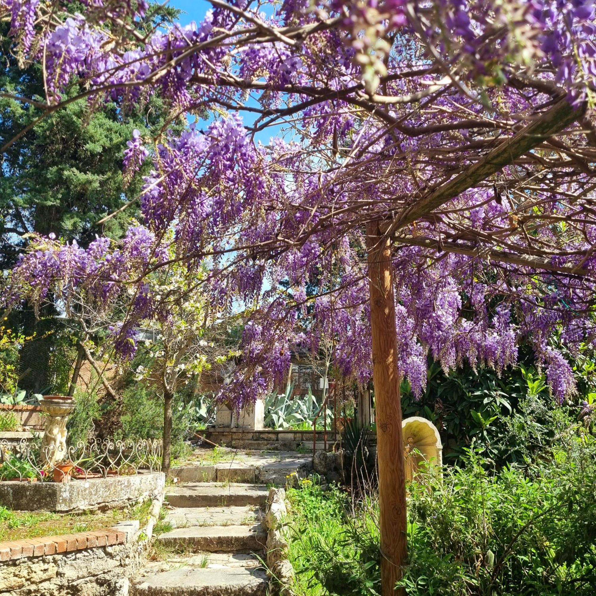San Francesco Hotel Rapolano Terme Exterior photo